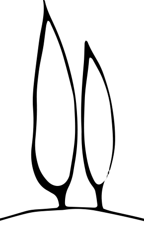 two-cypress-story